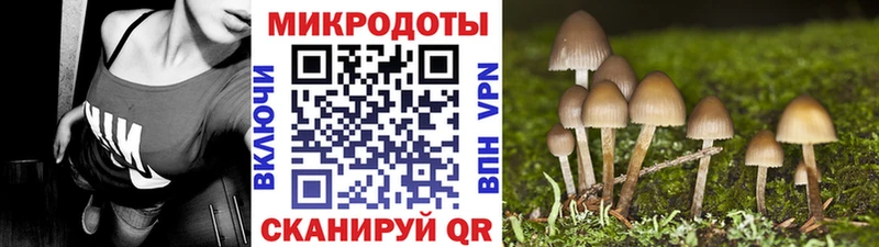 Купить где  Гаврилов Посад  Галлюциногенные грибы Cubensis 